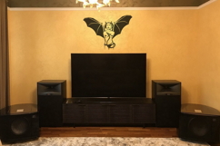 Sexy Devil Girl with Bat Wings Product Image 4