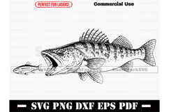Walleye SVG PNG EPS PDF DXF Product Image 1
