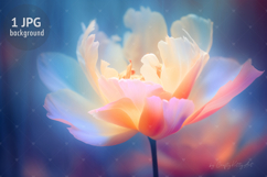 Fantasy Rainbow Peony Flower Digital HD Wallpaper Background Product Image 1