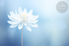 Fantasy White Lily Flower Digital HD Wallpaper Background Product Image 1