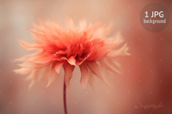 Fantasy Dahlia Flower Digital HD Wallpaper Background Product Image 1