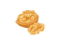 walnut kernel cartoon vector illustration Product Image 1