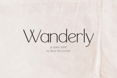 Wanderly Sans Product Image 1