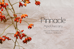 Wanderly Sans Product Image 6