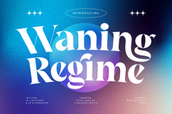 Waning Regime Modern Display Serif Product Image 1