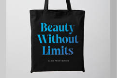 Waning Regime Modern Display Serif Product Image 4