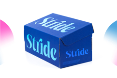 Waning Regime Modern Display Serif Product Image 10