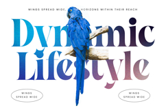 Waning Regime Modern Display Serif Product Image 14