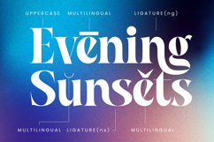 Waning Regime Modern Display Serif Product Image 15