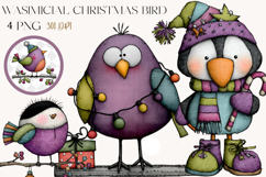 Whimsical Christmas bird Sublimation Product Image 1