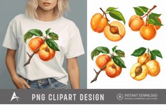 Watercolor Apricot Sublimation Clipart Product Image 1