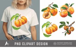 Watercolor Apricot Sublimation Clipart Product Image 1