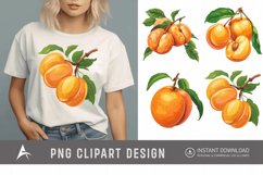 Watercolor Apricot Sublimation Clipart Product Image 1
