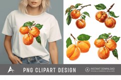 Watercolor Apricot Sublimation Clipart Product Image 1