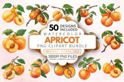 Watercolor Apricot Clipart Bundle Product Image 1