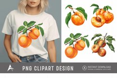 Watercolor Apricot Sublimation Clipart Product Image 1