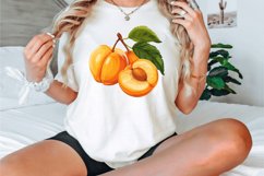 Watercolor Apricot Clipart Bundle Product Image 2