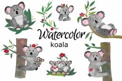 WATERCOLOR CLIPART koala animals african safari ausralian Product Image 1