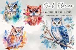 Watercolor Owl Clipart Png Product Image 1