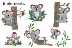 WATERCOLOR CLIPART koala animals african safari ausralian Product Image 2