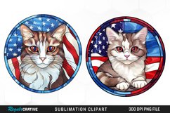 Watercolor 4th of July Cat Graphics Clipart Product Image 1
