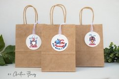 Cute 4th Of July Sticker Bundle PNG Product Image 5