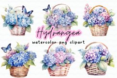 Hydrangea Flowers Basket Watercolor Clipart Png Product Image 1