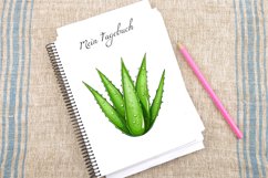 Watercolor Aloe Vera Sublimation Clipart Bundle Product Image 2