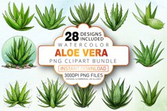 Watercolor Aloe Vera Sublimation Clipart Bundle Product Image 1
