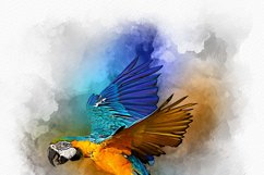 Watercolor Aqueous Elegance Effect Product Image 8