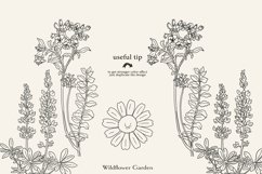 Line Art Wildflower Clipart Collection Sketched Botanicals Product Image 13