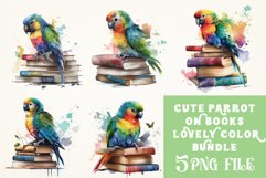 Watercolor Cute Parrot on Books Sublimation Bundle Product Image 1