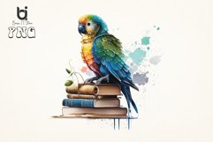 Watercolor Cute Parrot on Books Sublimation Bundle Product Image 2