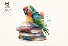 Watercolor Cute Parrot on Books Sublimation Bundle Product Image 3
