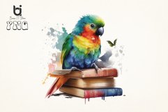 Watercolor Cute Parrot on Books Sublimation Bundle Product Image 5