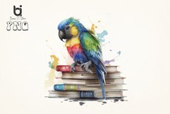 Watercolor Cute Parrot on Books Sublimation Bundle Product Image 6