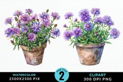 Watercolor Asters Pot Graphics Clipart Product Image 1