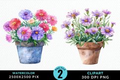 Watercolor Asters Pot Graphics Clipart Product Image 1