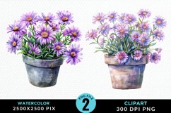 Watercolor Asters Pot Clipart Bundle Product Image 3