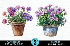 Watercolor Asters Pot Graphics Clipart Product Image 1