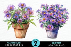 Watercolor Asters Pot Graphics Clipart Product Image 1