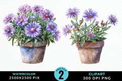 Watercolor Asters Pot Image Clipart Product Image 1