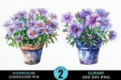 Watercolor Asters Pot Graphics Clipart Product Image 1