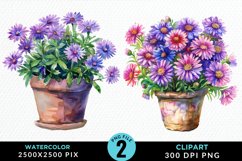 Watercolor Asters Pot Graphics Clipart Product Image 1