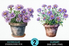 Watercolor Asters Pot Image Clipart Product Image 1