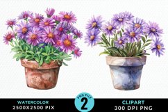Watercolor Asters Pot Graphics Clipart Product Image 1