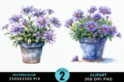Watercolor Asters Pot Graphics Clipart Product Image 1
