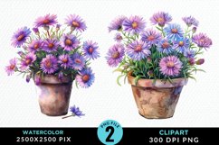 Watercolor Asters Pot Graphics Clipart Product Image 1
