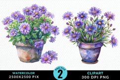Watercolor Asters Pot Graphics Clipart Product Image 1