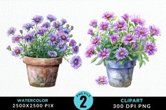 Watercolor Asters Pot Image Clipart Product Image 1